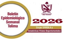 BOLETIN-2026